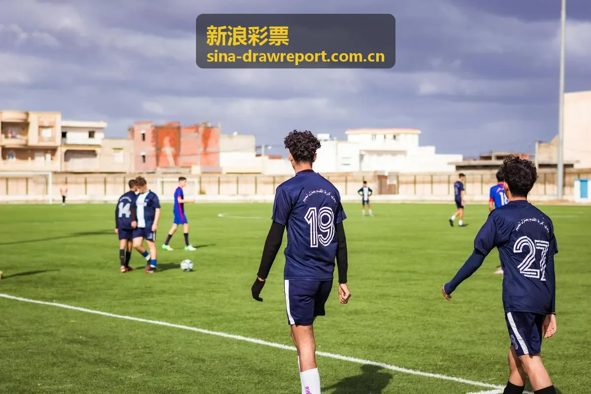 新浪彩票大乐透前后区组合数据报告